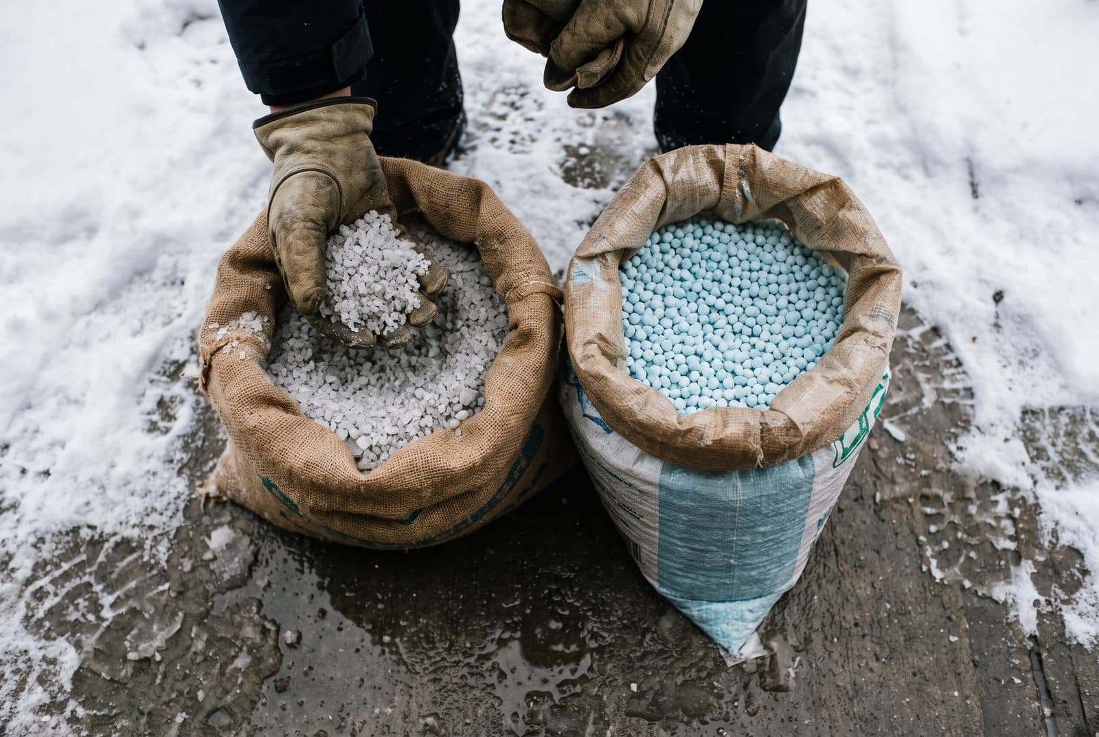 Gloved worker holding open sacks of white rock salt and blue ice-melt pellets on snowy pavement Gloved worker holding open sacks of white rock salt and blue ice-melt pellets on snowy pavement